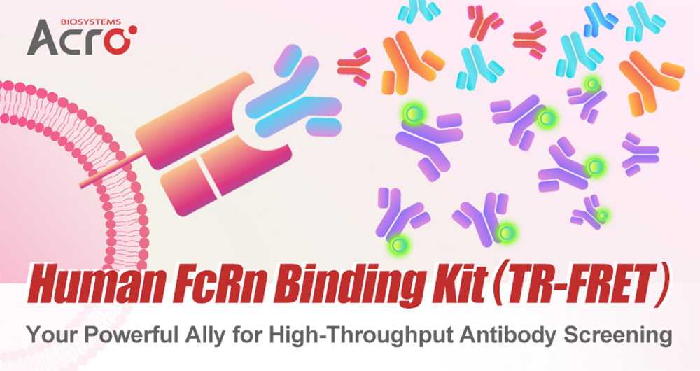 Human FcRn Binding Kit (TR-FRET)