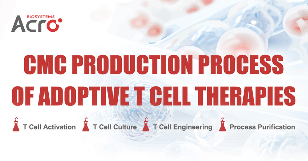 CMC Production Process of Adoptive T Cell Therapies