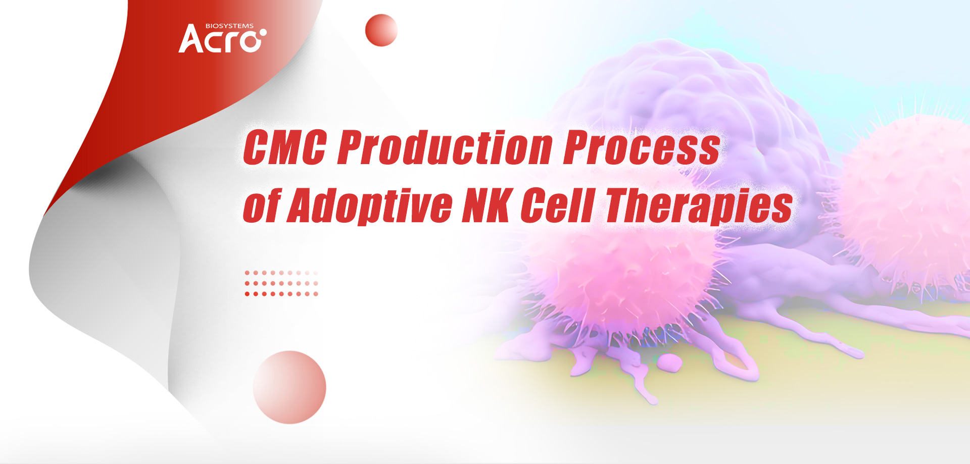 CMC Production Process of Adoptive NK Cell Therapies