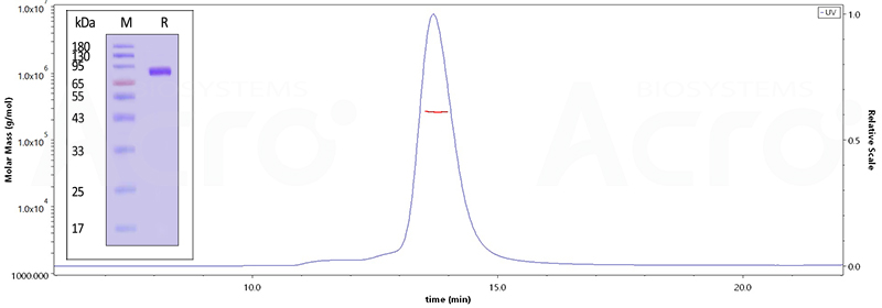 Natural HA Trimer Assay Data