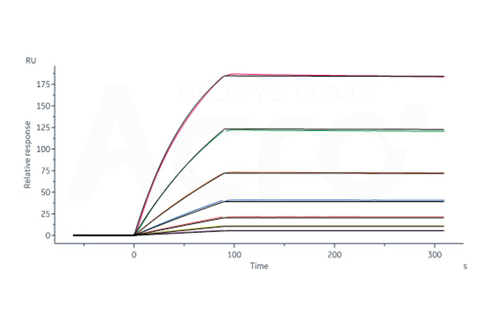 Natural HA Trimer Assay Data