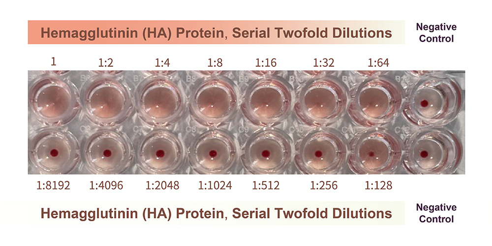 Natural HA Trimer Assay Data