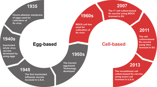 Evolution of Influenza Vaccine Substrates