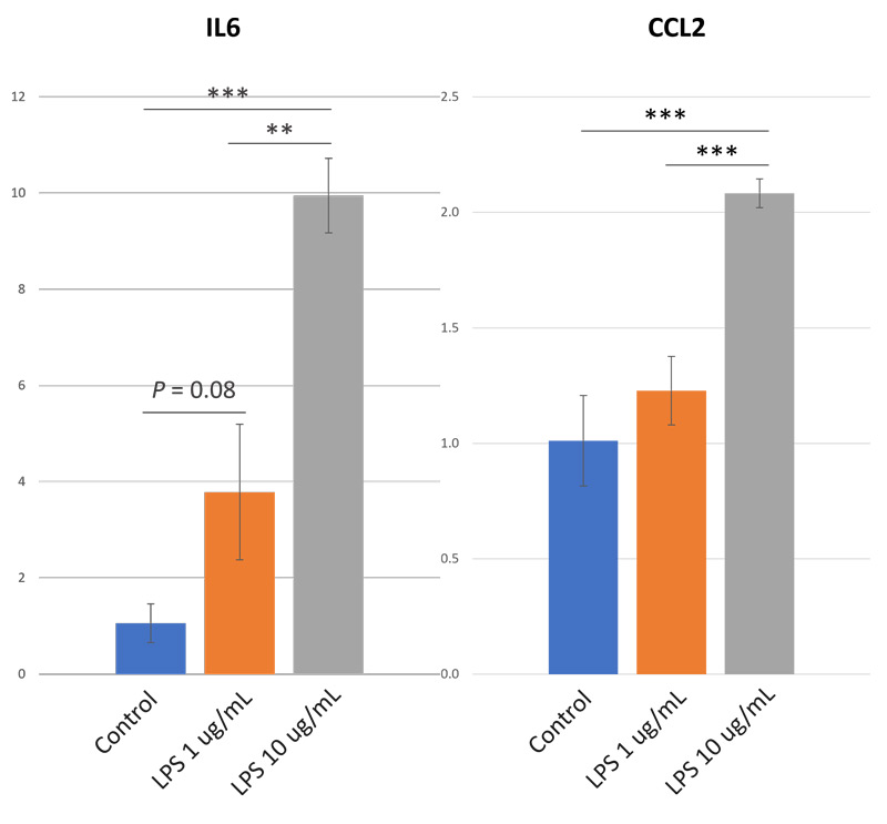 Immune Response of Intestinal Organoids