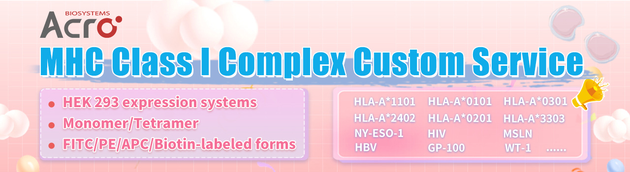 MHC Class I Complex Custom Service