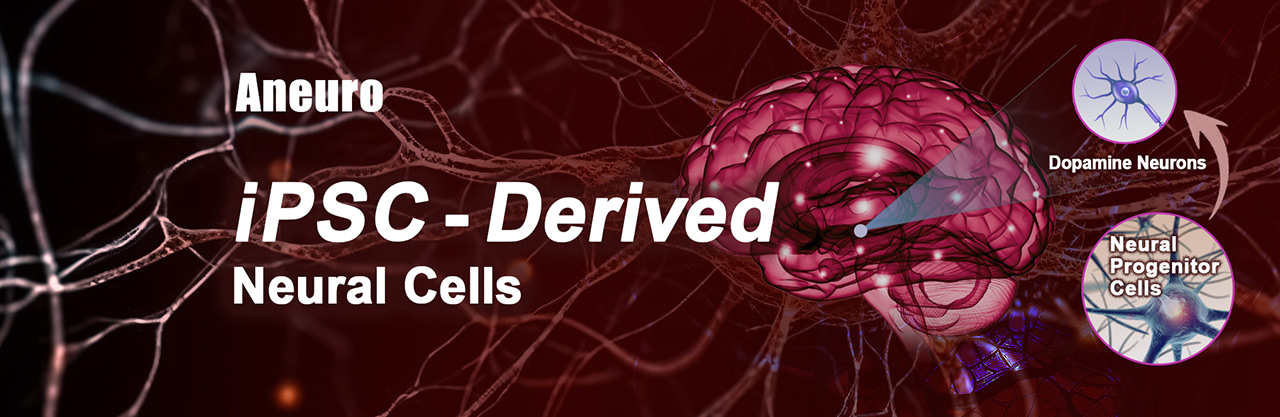 iPSC-Derived Neural Cells