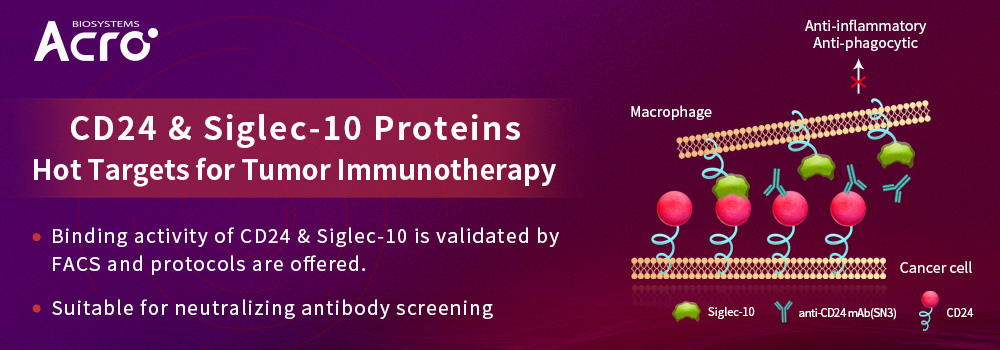CD24 & Siglec-10 Proteins - Hot Targets for Tumor Immunotherapy