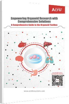 Organoid Toolbox: Empowering Organoid Research with Comprehensive Solutions