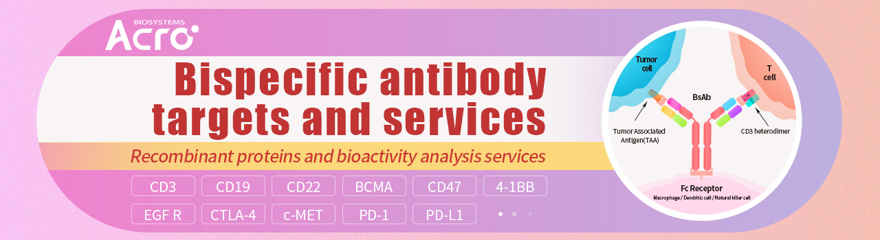 Learn More About Bispecific Antibody Targets and Services