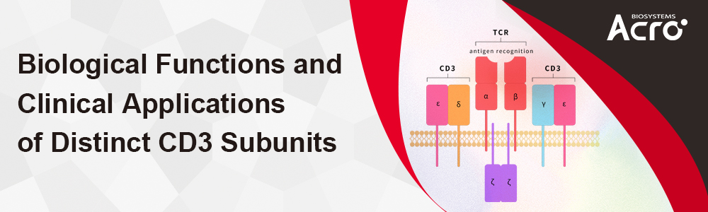 Biological Functions and Clinical Applications of Distinct CD3 Subunits