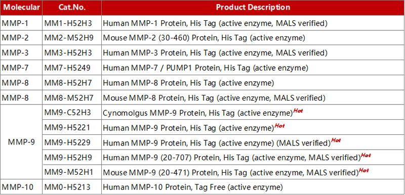 Explore our MMP protein family products