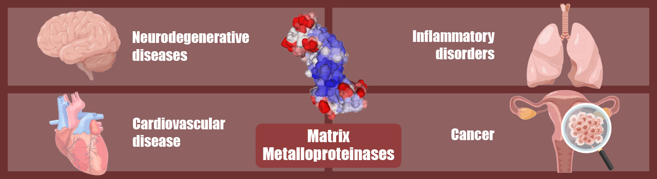 Development and Metastasis of Cancer: Regulation and Remodeling of the Tumor Microenvironment