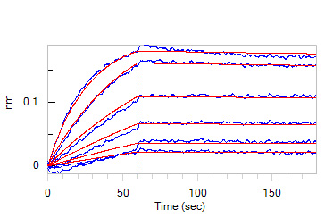  IFN-gamma BLI