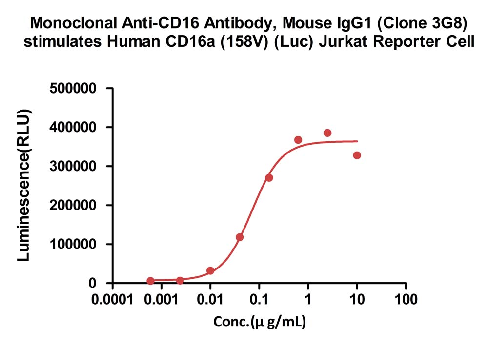  CD16 CELL