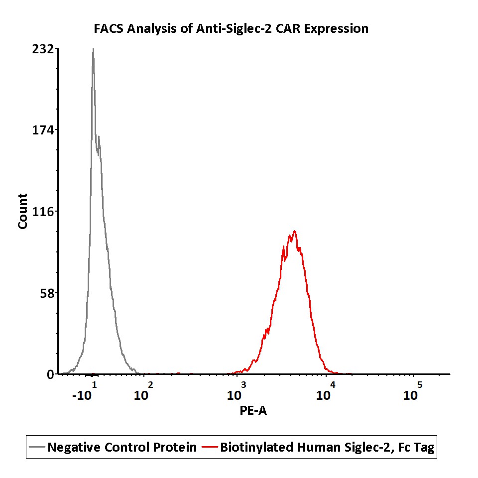  Siglec-2 FACS