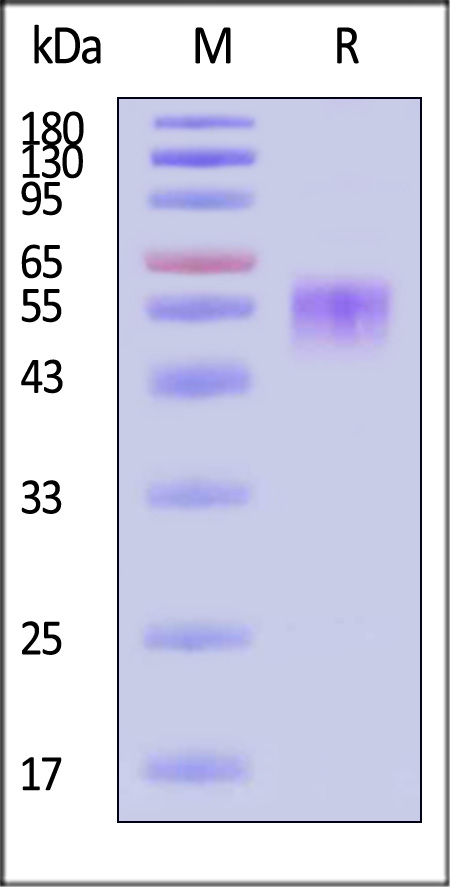 ACB-H82F3-sds