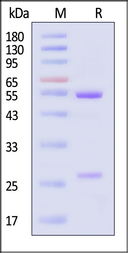 HRF-M789-sds