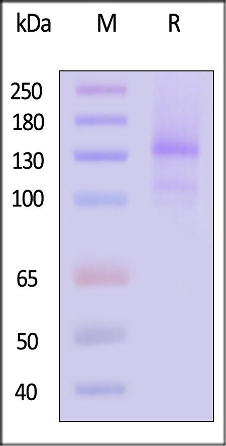 LDR-H5214-sds