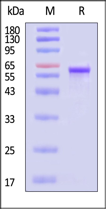 VP3-A5149-sds