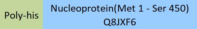 Nucleoprotein Structure